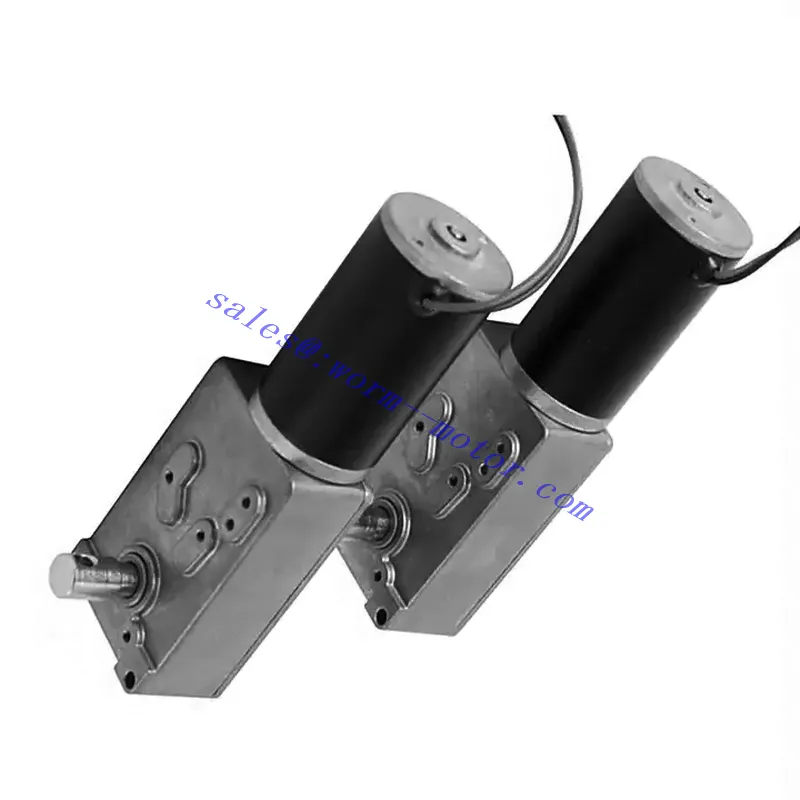 ep-worm-motor-1.1