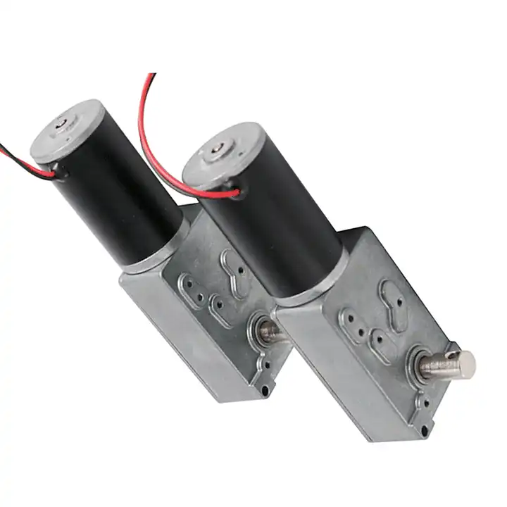 ep-worm-motor-1